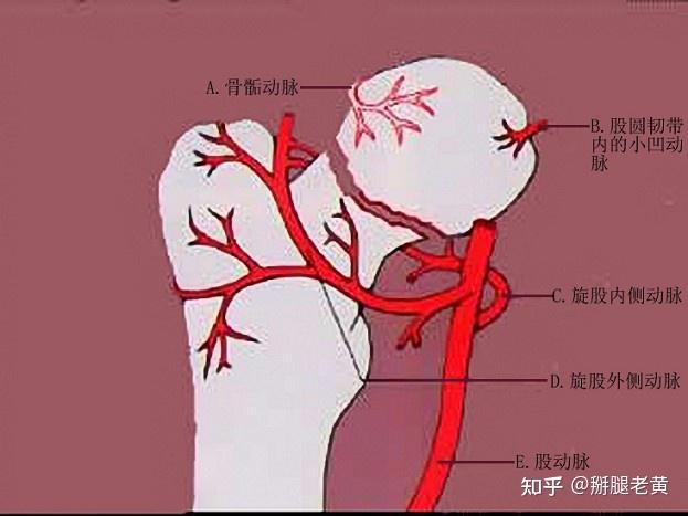 v2-7208e112e96f4ea36b98e0a9dba1ba38_1440w